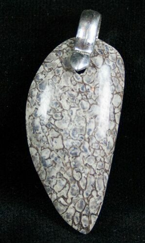Agatized Dinosaur Bone Pendant - Colorado #7253